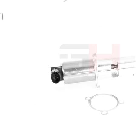 GH GH-733967 - EGR Valve autospares.lv