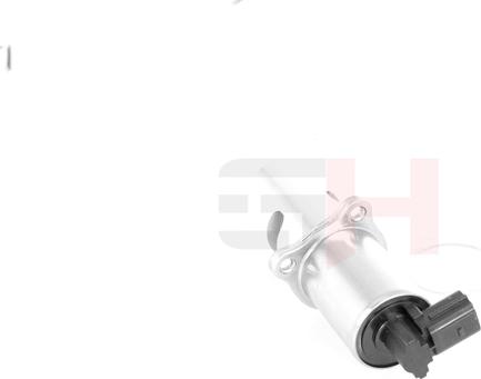 GH GH-733967 - EGR Valve autospares.lv