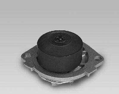 GK 985241 - Water Pump autospares.lv