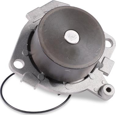 GK 985287 - Water Pump autospares.lv