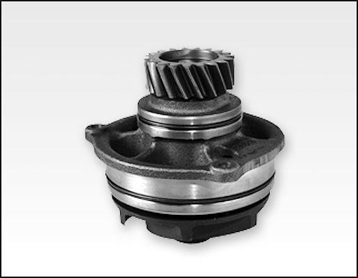 GK 981183 - Water Pump autospares.lv