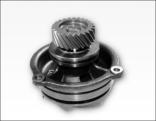 GK 981179 - Water Pump autospares.lv