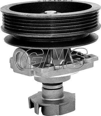 GNS YH-FI105 - Water Pump autospares.lv