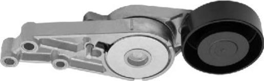 GOOM BT-0077 - Belt Tensioner, v-ribbed belt autospares.lv