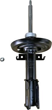 GOOM F210G1569 - Shock Absorber autospares.lv