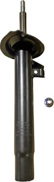 GOOM F210G1589 - Shock Absorber autospares.lv