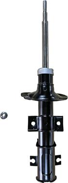 GOOM F210G1529 - Shock Absorber autospares.lv