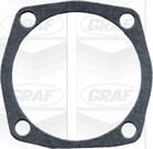 Graf PA566 - Water Pump autospares.lv