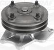 Graf PA1016 - Water Pump autospares.lv