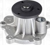 Graf PA1135 - Water Pump autospares.lv