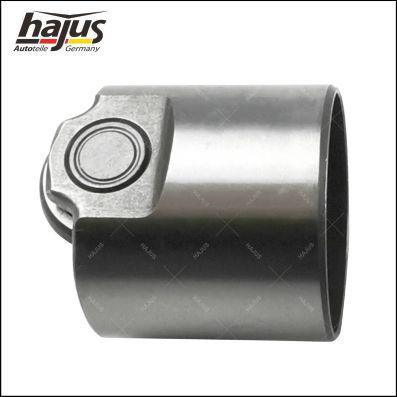 hajus Autoteile 1091050 - Plunger, high pressure pump autospares.lv