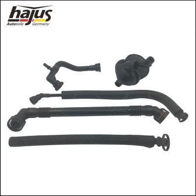 hajus Autoteile 1151030 - Repair Set, crankcase breather autospares.lv