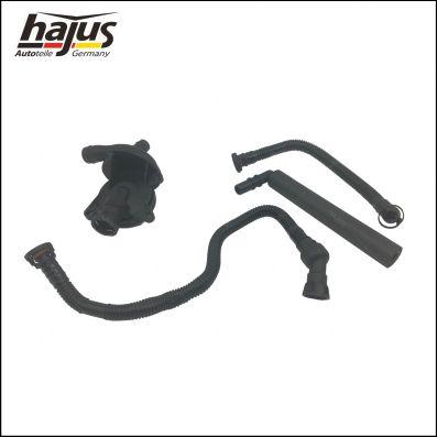 hajus Autoteile 1151263 - Repair Set, crankcase breather autospares.lv