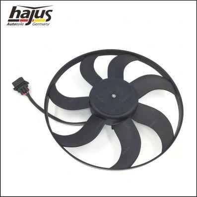 hajus Autoteile 1211034 - Fan, radiator autospares.lv