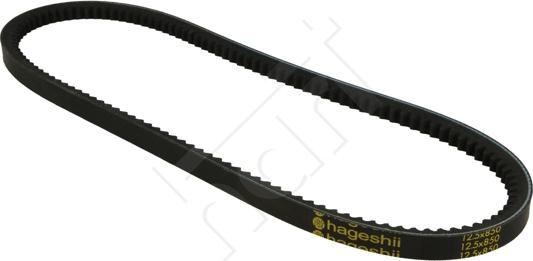 Hart 305 711 - V-Belt autospares.lv