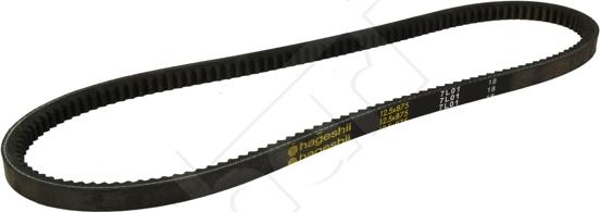 Hart 334 193 - V-Belt autospares.lv