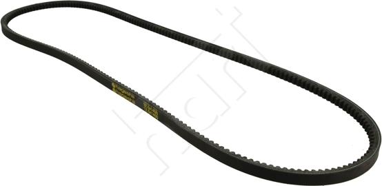 Hart 334 202 - V-Belt autospares.lv