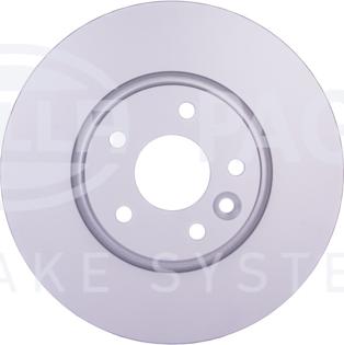 HELLA PAGID 8DD 355 129-161 - Brake Disc autospares.lv