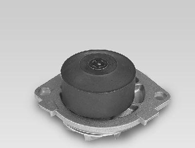 Hepu P1041 - Water Pump autospares.lv