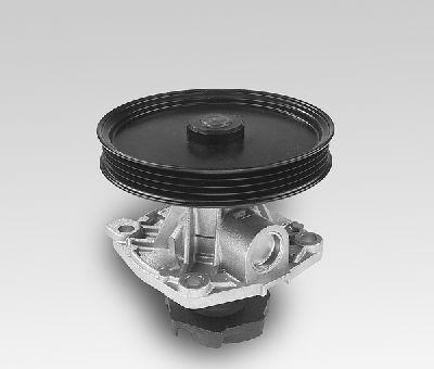Hepu P125 - Water Pump autospares.lv