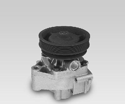 Hepu P123 - Water Pump autospares.lv