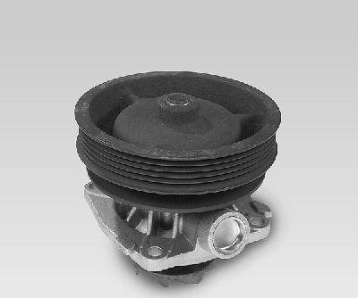 Hepu P122 - Water Pump autospares.lv