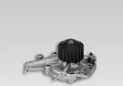 Delphi WP2218 - Water Pump autospares.lv