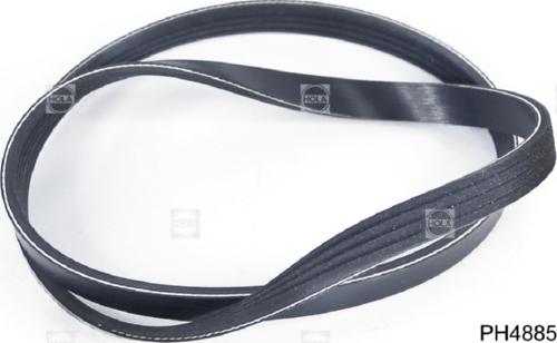 Hola PH4885 - V-Ribbed Belt autospares.lv