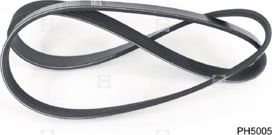 Hola PH5005 - V-Ribbed Belt autospares.lv