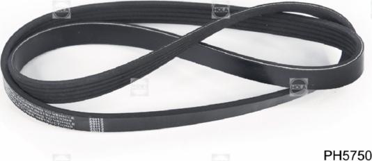 Hola PH5750 - V-Ribbed Belt autospares.lv