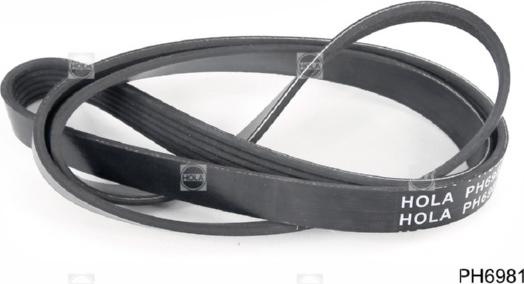 Hola PH6981 - V-Ribbed Belt autospares.lv