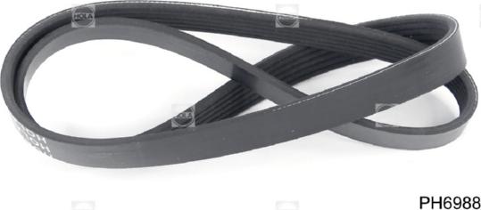 Hola PH6988 - V-Ribbed Belt autospares.lv