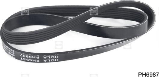 Hola PH6987 - V-Ribbed Belt autospares.lv