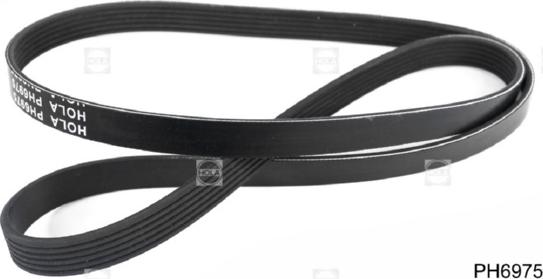 Hola PH6975 - V-Ribbed Belt autospares.lv