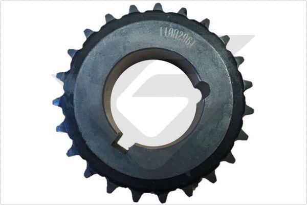 Hutchinson PVI 020 - Gear, crankshaft autospares.lv