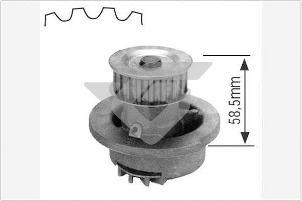 Hutchinson WP02 - Water Pump autospares.lv