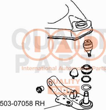 IAP QUALITY PARTS 503-07058 - Track Control Arm autospares.lv