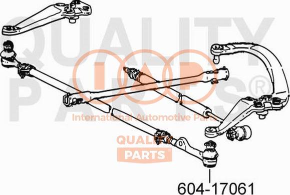 IAP QUALITY PARTS 604-17061 - Tie Rod End autospares.lv