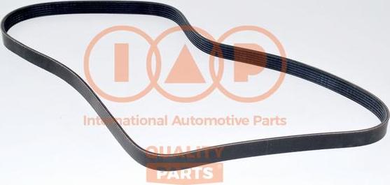 IAP QUALITY PARTS 140-14080 - V-Ribbed Belt autospares.lv