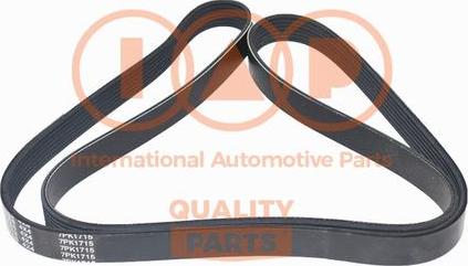 IAP QUALITY PARTS 140-14031 - V-Ribbed Belt autospares.lv