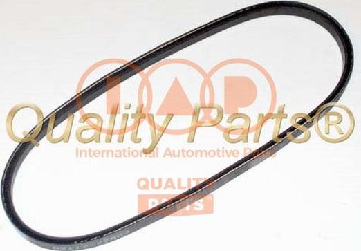 IAP QUALITY PARTS 140-13031 - V-Belt autospares.lv