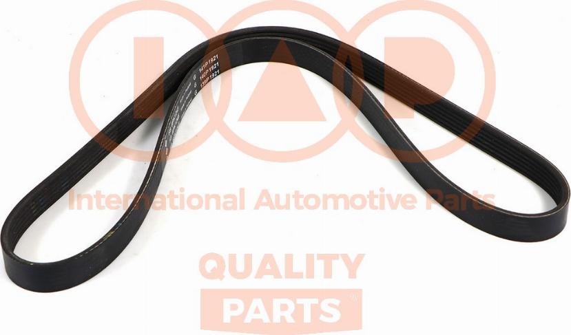 IAP QUALITY PARTS 140-17101 - V-Ribbed Belt autospares.lv