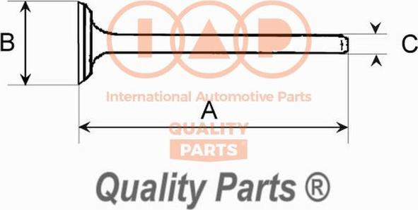 IAP QUALITY PARTS 110-13163 - Outlet valve autospares.lv