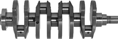 IPSA CK000600 - Crankshaft autospares.lv