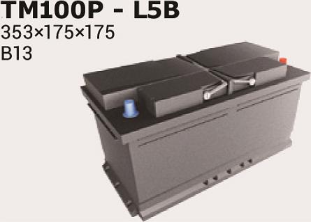 IPSA TM100P - Starter Battery autospares.lv