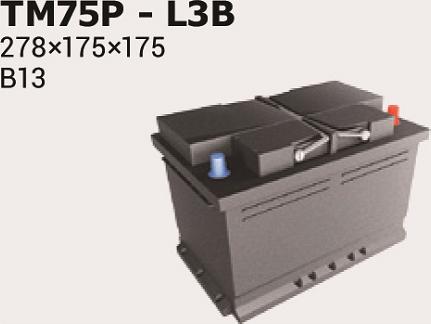IPSA TM75P - Starter Battery autospares.lv