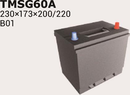 IPSA TMSG65A - Starter Battery autospares.lv