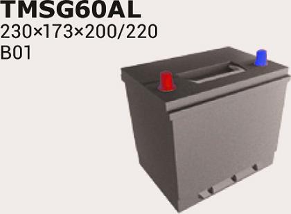 IPSA TMSG60AL - Starter Battery autospares.lv