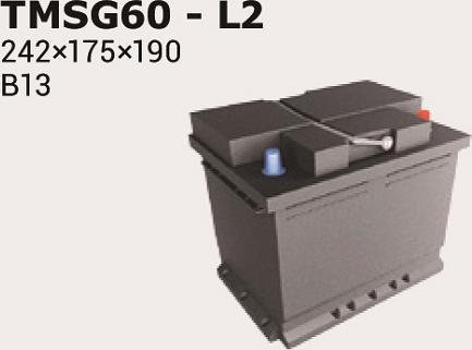 IPSA TMSG60 - Starter Battery autospares.lv