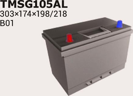 IPSA TMSG105AL - Starter Battery autospares.lv